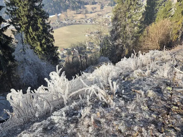 Foto: FF Reintal