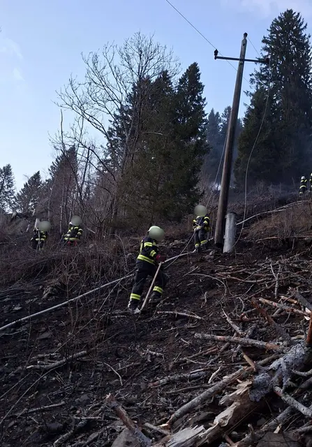 Foto: Freiwillige Feuerwehr Flattach-Fragant