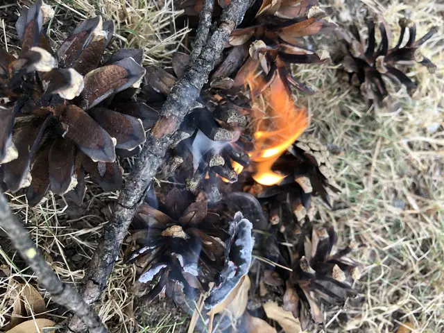Hinsichtlich der besonderen Brandgefahr gelten im gesamten Bezirk besondere Vorbeugungsmaßnahmen. | Foto: MeinBezirk