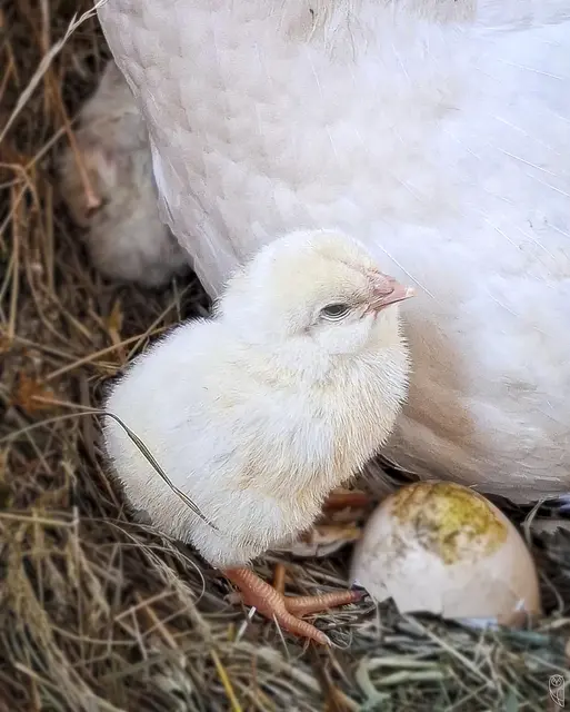 Herzlich willkommen auf der Welt, 
wo alles möglich ist und 
man sich frei entfalten kann.
Foto: Glaser 