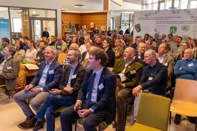 "Tag der Forschung" in Lunz: Die Naturrauminventur unterstreicht die Bedeutung des Wildnisgebiets als international einzigartigem Refenzraum. | Foto: Katharina Pfligl/Wildnisgebiet Dürrenstein-Lassingtal