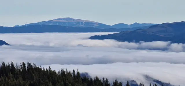 Wie der Nationalpark Gesäuse Klimaschutz und Naturverträglichkeit abwägt