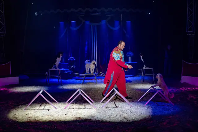 Foto: Circus Frankello