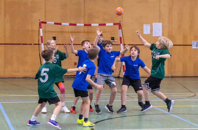 15 Volksschul-Teams kämpften ums Ticket für das Landesfinale