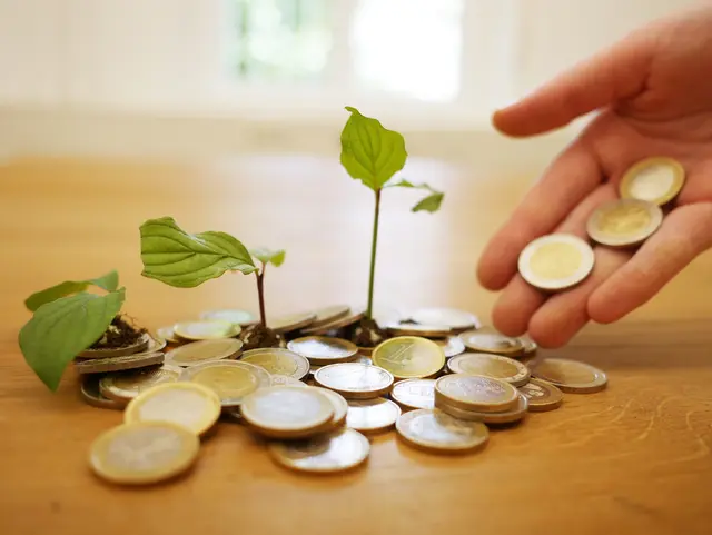 EU-Gelder ließen viele Projekte heranwachsen.  | Foto: RoboAdvisor/Pixabay (Symbolfoto) 