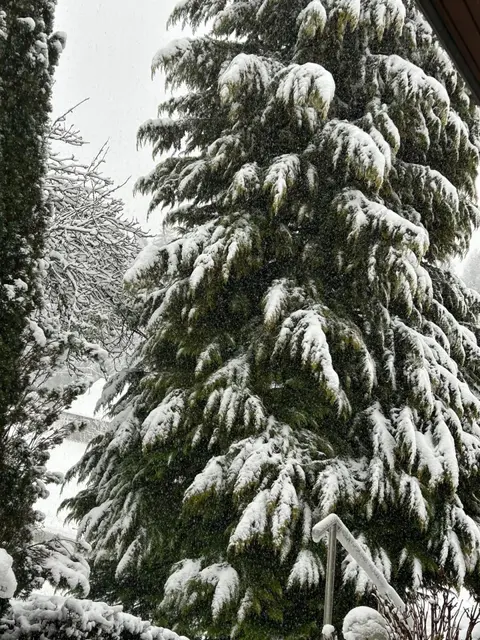 Im Bezirk Gmunden hat es im März noch geschneit. | Foto: MeinBezirk OÖ