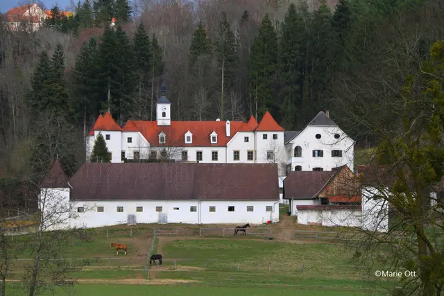Schloss Dornhofen, Ostermarkt, 21.03.2026 ab 13:00 Uhr und 22.03.2026 ab 10:00 Uhr, geöffnet jeweils bis 18:00 Uhr.