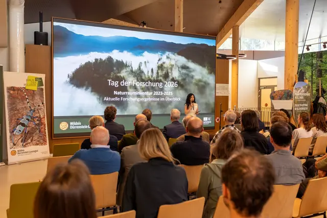 "Tag der Forschung" in Lunz: Die Naturrauminventur unterstreicht die Bedeutung des Wildnisgebiets als international einzigartigem Refenzraum. | Foto: Katharina Pfligl/Wildnisgebiet Dürrenstein-Lassingtal