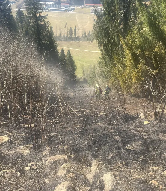 Foto: Stützpunkt-Feuerwehr Winklern