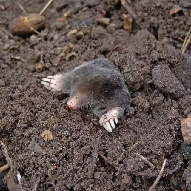 "Ist der Frühling schon da???"
Foto: Glaser 