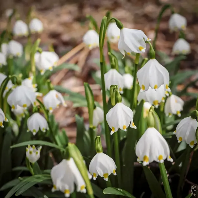 Freiheit ist nicht das Loslassen von Dingen, 
sondern das Loslassen von Erwartungen!
Foto: Glaser 