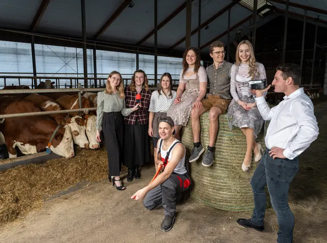 Zwischen Kühen und Kameras wird es turbulent