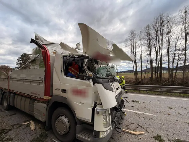 Einer der beiden Lkw wurde von den Bäumen massiv beschädigt. | Foto: FF Krems
