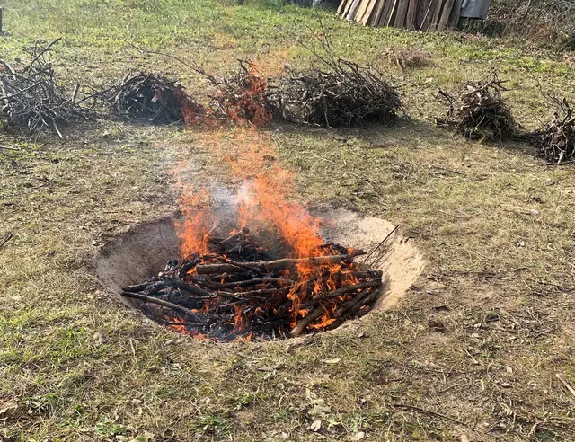 Terra Preta: Die Wundererde selbst herstellen