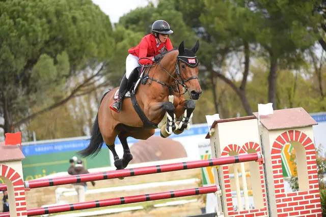 Der Name von "I will be Famous" war im italienischen Arezzo Prgramm.  | Foto: Marco Proli Equestrian Photography