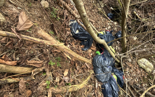 Speisemüll hat im Wald nichts verloren
