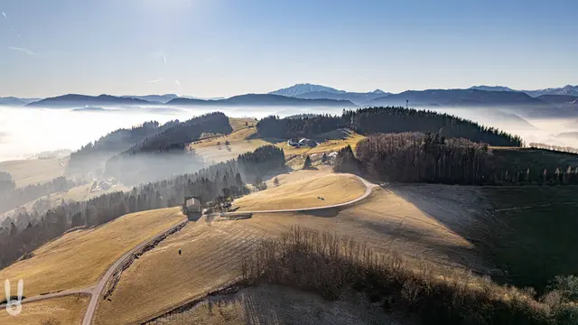 Nebel im kleinen Erlauftal | Foto: Harald Haselsteiner