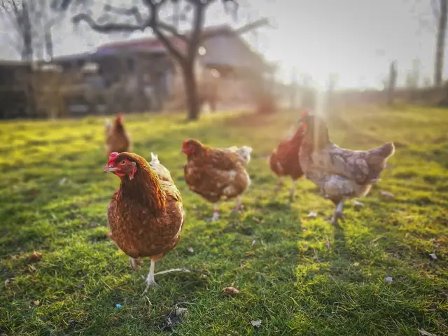 Alles Gute, das du tust, 
kommt irgendwann zurück.
Foto: Glaser 