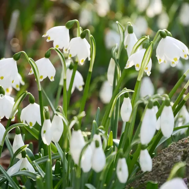 Manchmal muss man etwas los lassen
auch wenn man selber daran zerbricht
Foto: Glaser 