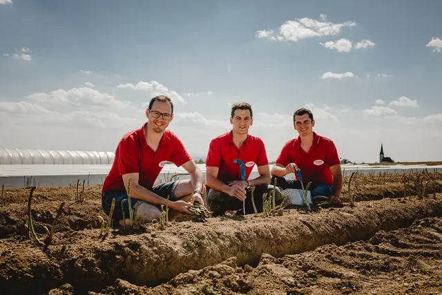 Startschuss bei der heimischen Spargelernte in Haag