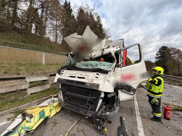 Herabstürzende Baumteile trafen auf der B70 zwei Lkw. | Foto: FF Krems
