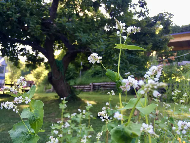Der Garten ist Schatten spendende Naherholung – wann immer man sie braucht. | Foto: MeinBezirk/Gerda Sammer-Schmidt
