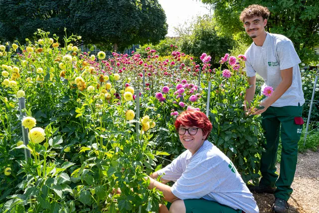 Am Donizettiweg 29 kann man in die Welt der Pflanzen eintauchen. | Foto: Jandl/ Wiener Stadtgärten