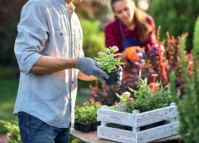 Besonders stark vertreten ist der Gartenbereich. | Foto: Landring