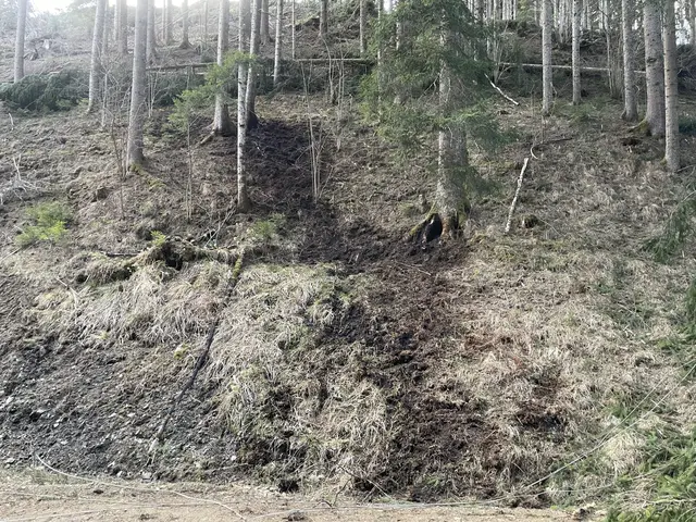Foto: Feuerwehr Strassburg