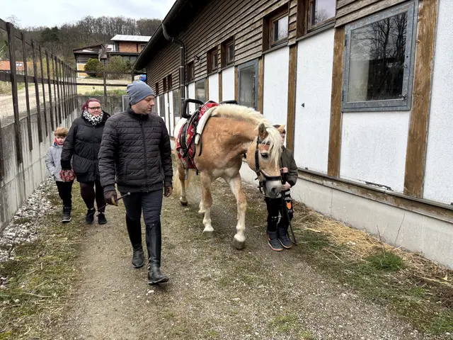 Gemeinsam wird Alma in die Reithalle geführt. | Foto: Lauren Fahrenberger / MeinBezirk