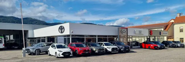 Attraktive Aktionen sowie umfassende Informationen zu Ausstattungen und Finanzierungsmöglichkeiten runden das Angebot ab.  | Foto: Fior Leoben