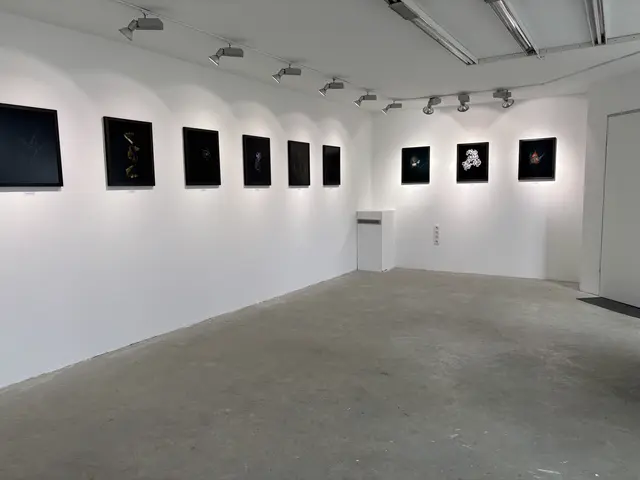 Die aktuelle Ausstellung mit dem Titel „Baryonic Matter“ ist noch bis 19. April in der Galerie Dezentrale in Strem zu sehen.  | Foto: Elisabeth Kloiber