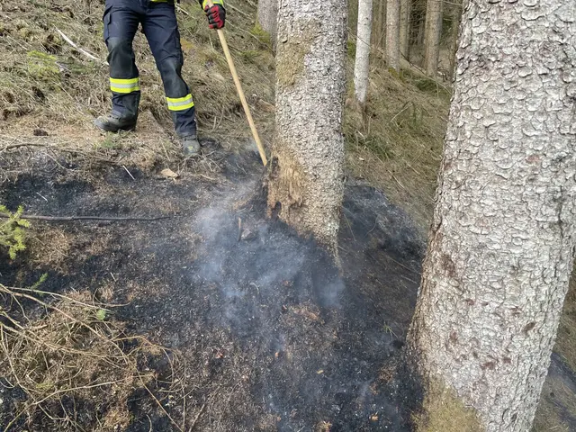 Foto: Feuerwehr Strassburg