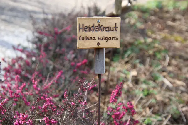 Über 200 Heilkräuter sind im Kräutergarten zu finden.