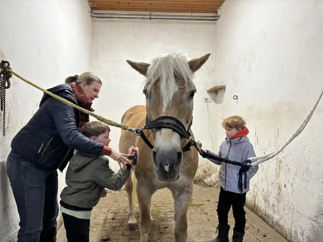 Eigenständig und mit Unterstützung lernen die autistischen Kinder, wie das Pferd auf sie reagiert. Was wiederum ihre kognitive Entwicklung fördert. | Foto: Lauren Fahrenberger / MeinBezirk