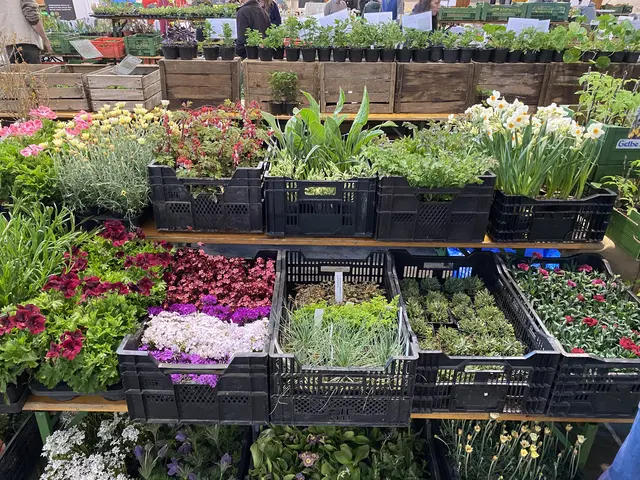 Pflanzen Genuss Handwerk