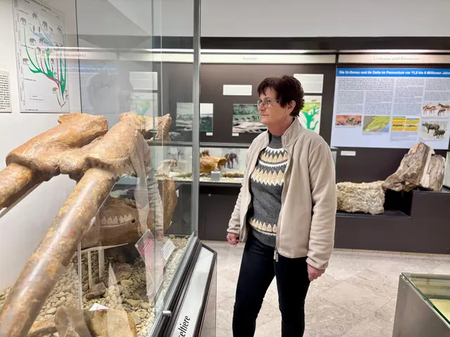 Elisabeth Frank zeigt die "Schätze" im Krahuletzmuseum in Eggenburg. | Foto: Markus Kahrer