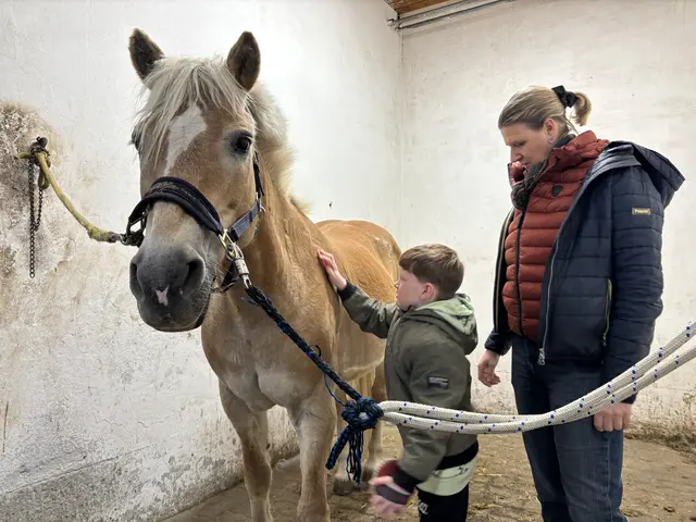 Das Striegeln des Pferdes ist ein wichtiger Teil der Therapie. | Foto: Lauren Fahrenberger / MeinBezirk
