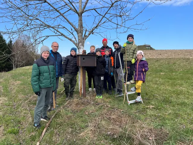Eine Win-Win-Situation: Die Landwirte profitieren vom Wiedehopf, der als natürlicher Schädlingsbekämpfer gilt.   | Foto: Naturschutzgruppe Haibach