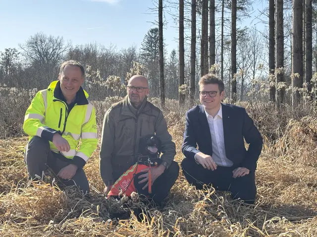 Landesveterinärdirektor Peter Schiefer, Hundeführer Alois Russegger und Landesrat Maximilian Aigner in der Antheringer Au. | Foto: Simon Haslauer