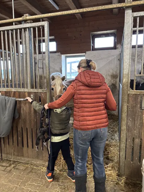Linus und Katrin holen gemeinsam die Haflinger-Stute Alma aus der Box. | Foto: Lauren Fahrenberger / MeinBezirk