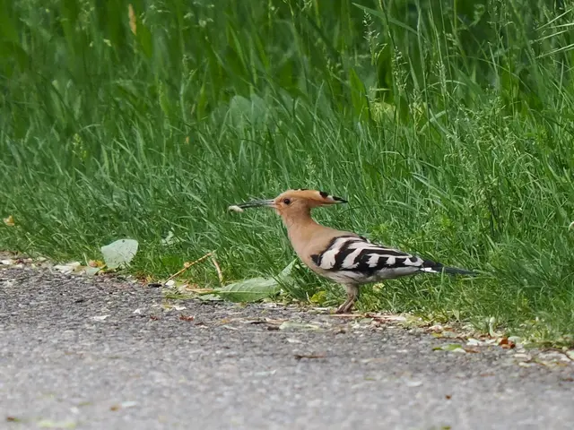 Foto: Georg Strasser