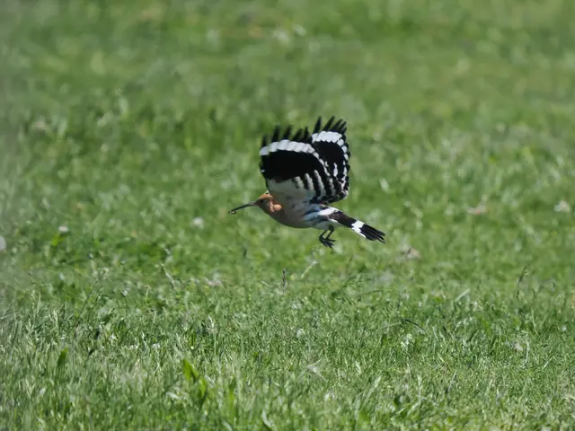 Foto: Georg Strasser