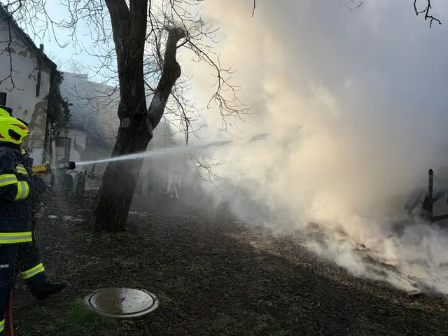 Mit vereinten Kräften brachten Mannschaften der Feuerwehren Welten, Doiber und Sankt Martin an der Raab-Ort das Feuer unter Kontrolle. | Foto: Feuerwehr Welten