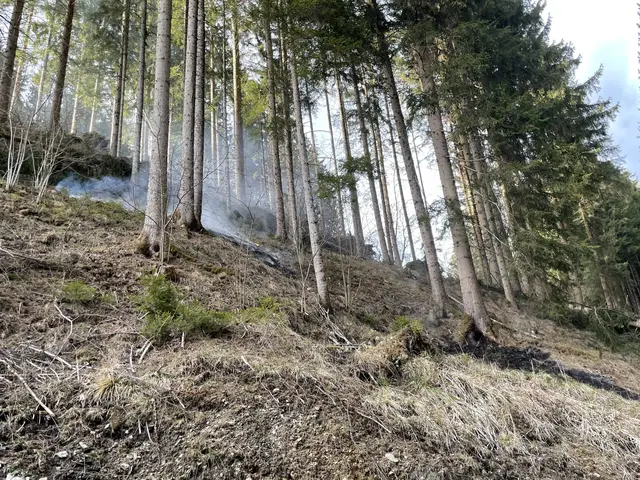Durch die trockene Vegetation verursachte die Oberleitung einen Waldbrand. | Foto: Feuerwehr Strassburg