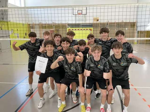 BORG Volleyballer zeigen ihre Klasse | Foto: BORG WRN