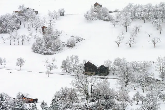 Heute am frühen Morgen bot sich dieser Blick zur Stanzerleite zwischen Stanz und Grins. Eine alte Bauernregel scheint sich wieder einmal zu bestätigen: "Lichtmess im Klee - Ostern im Schnee"!
Im Vollbildmodus sind die Schneeflocken im Bereich von dunklen Hintergründen gut zu erkenne. Derzeit schneit es noch immer, wenn gleich nicht mehr so haftig. | Foto: © by Ing. Günter Kramarcsik