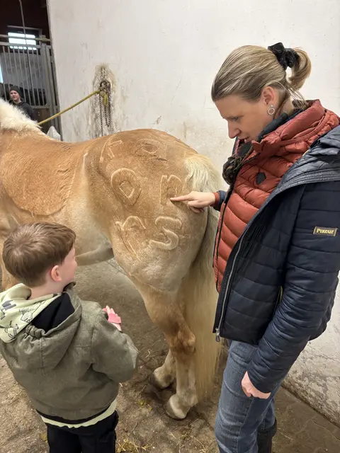 Alma hat in ihrem Winterfell Buchstaben einrasiert, wodurch die Kinder spielerisch das Alphabet lernen können. | Foto: Lauren Fahrenberger / MeinBezirk