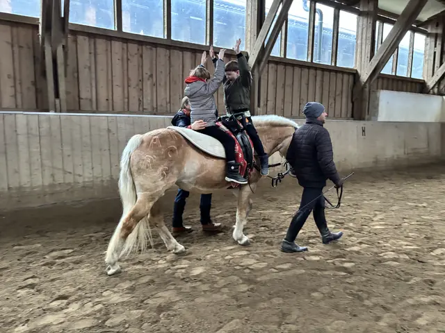 Aspekte der Ergo-Therapie fließen beim Reitunterricht ein. | Foto: Lauren Fahrenberger / MeinBezirk