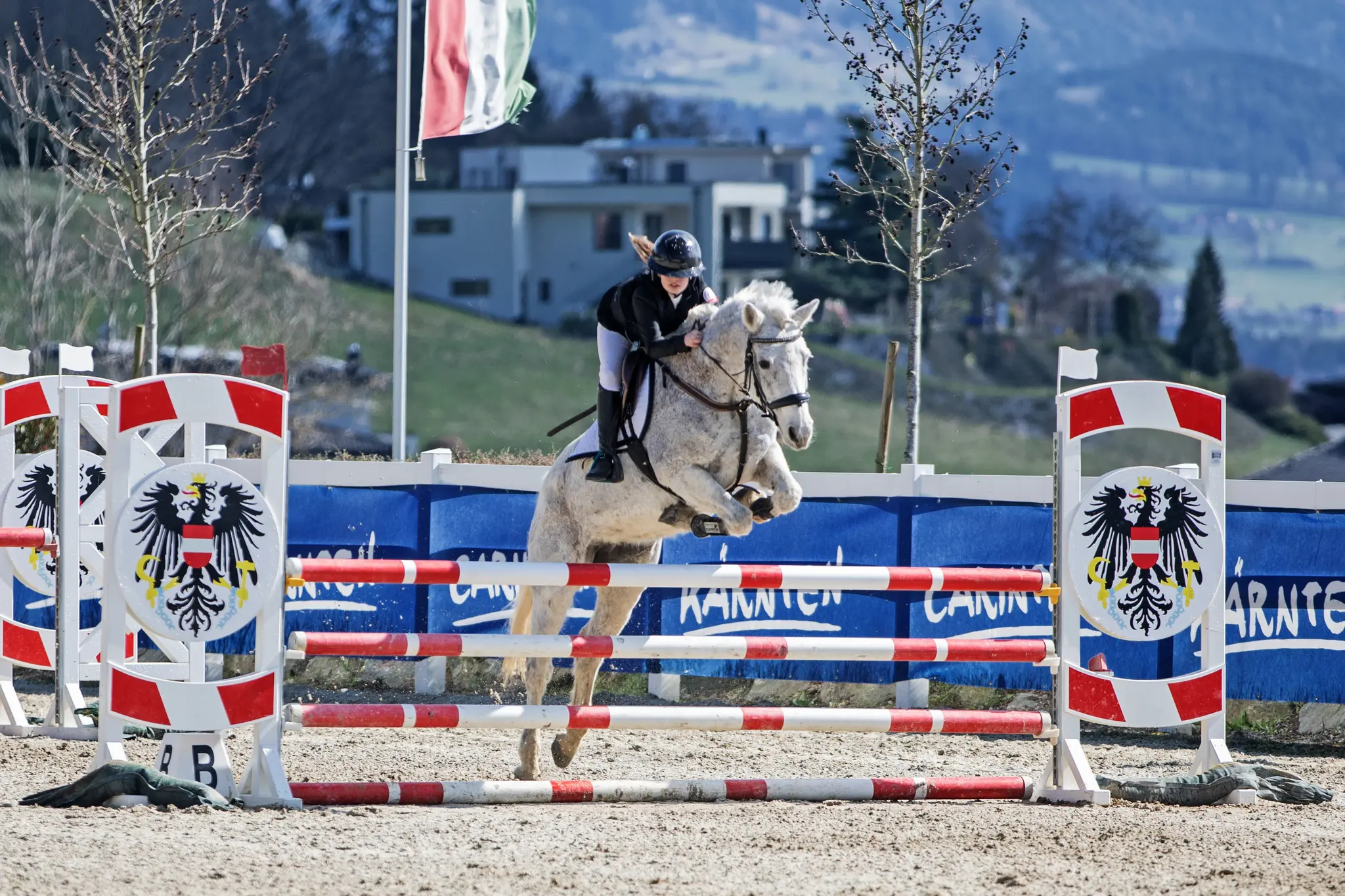 Erfolgsserie Reitsport: Junge Bad Ischler Reiterin holt 23 Platzierungen ...
